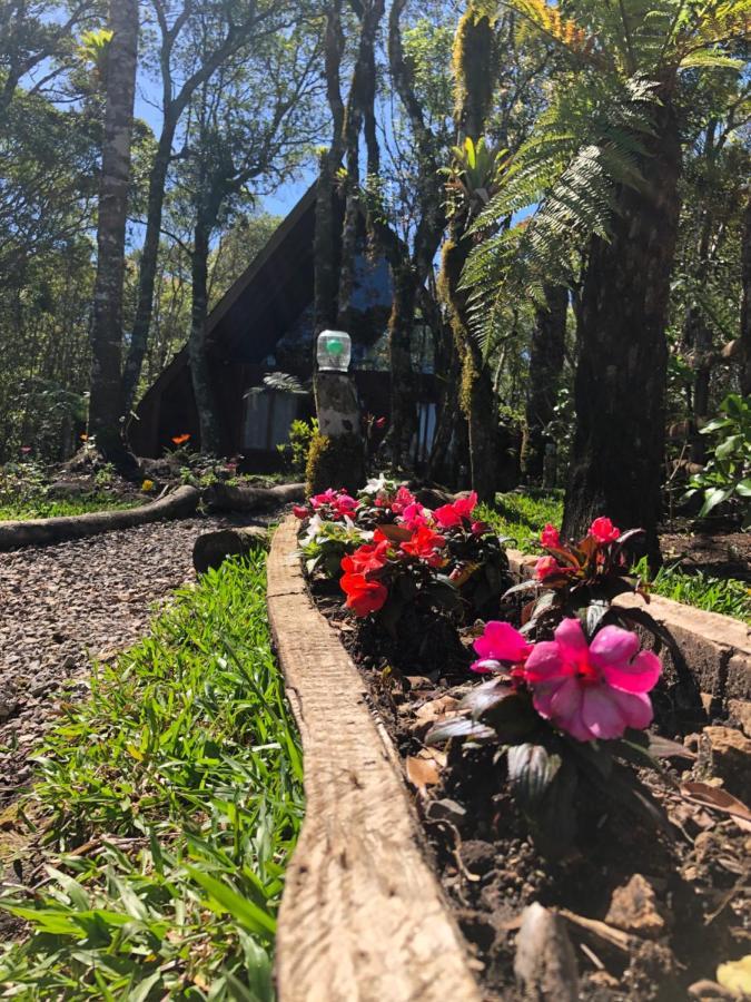 A Cabana Sao Chico São Francisco de Paula Kültér fotó